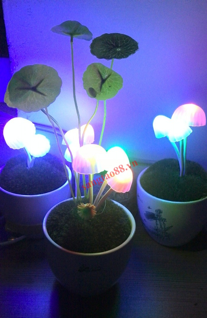 Đèn ngủ cảm ứng Avatar  Đem thiên nhiên vào ngôi nhà của bạn
