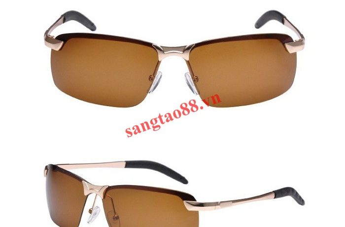 Kính mắt phân cực Polarized ForMan