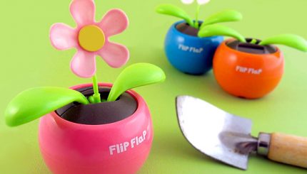 Hoa lắc lư Năng lượng mặt trời