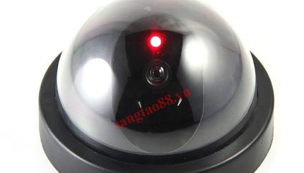 Camera giả V1