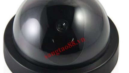 Camera giả V1